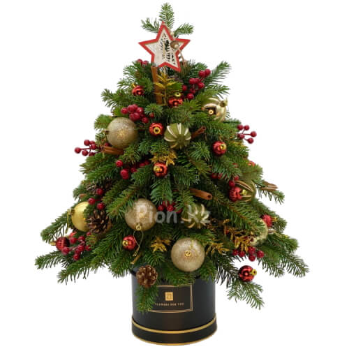 Новогодняя елка