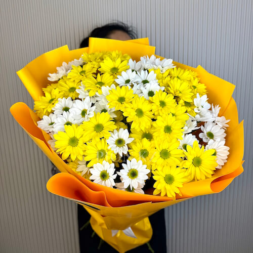 Mix of chamomile chrysanthemums