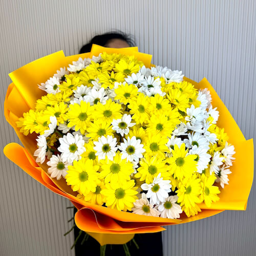 Mix of chamomile chrysanthemums - 25 хризантем