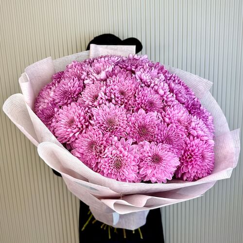 Охапка сиреневых хризантем