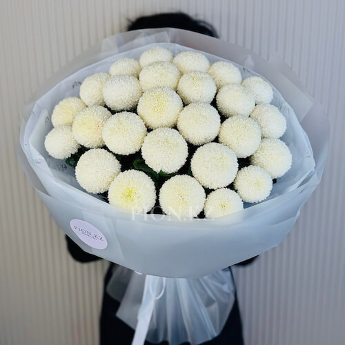 Ақ Момоко хризантемалары