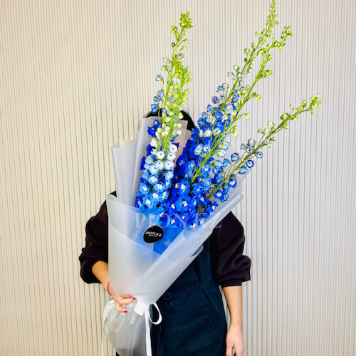 Букет из дельфиниумов