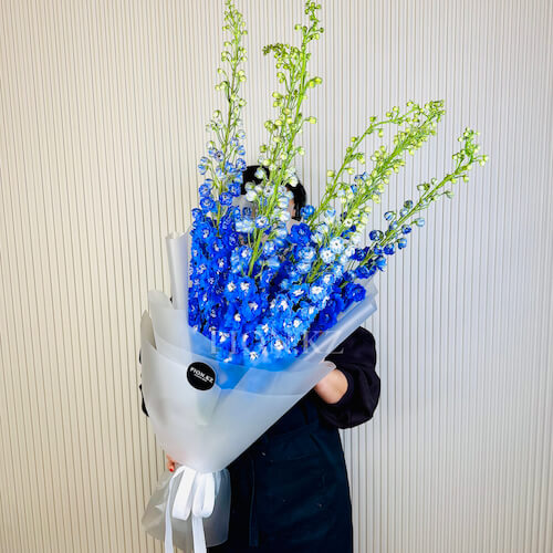 Букет из дельфиниумов - 7 дельфиниумов