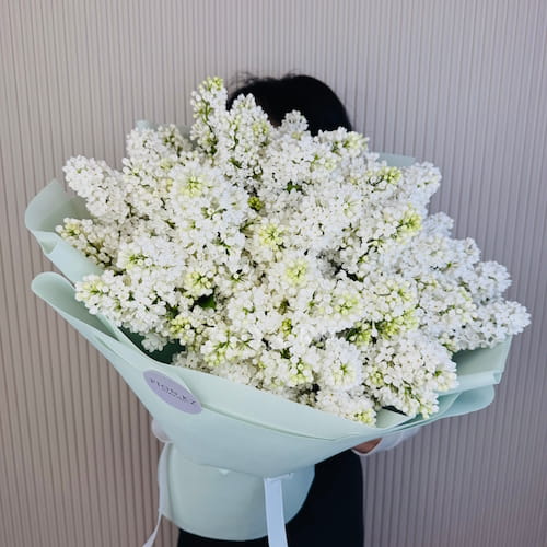 Bouquet of  white lilacs