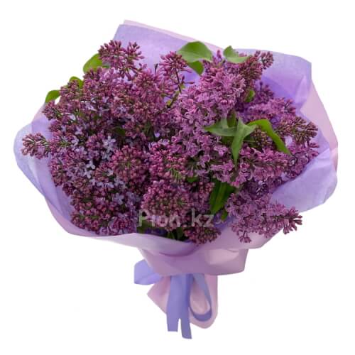 Lilac Bouquet - Небольшой