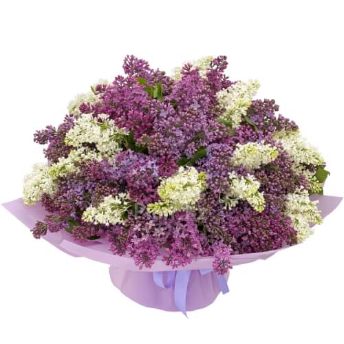 Lilac Bouquet - Увеличенный
