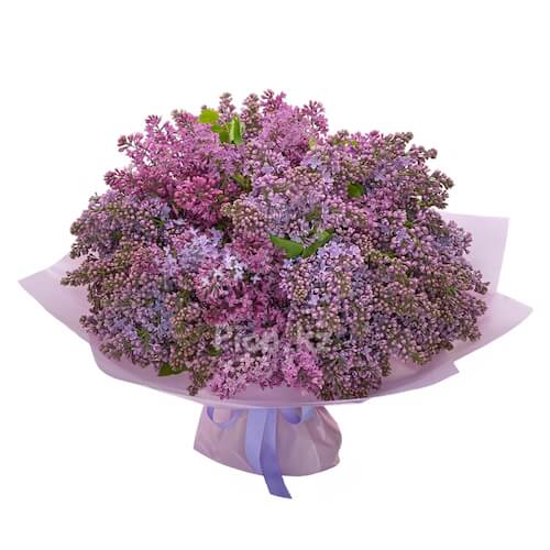 Lilac Bouquet - Средний