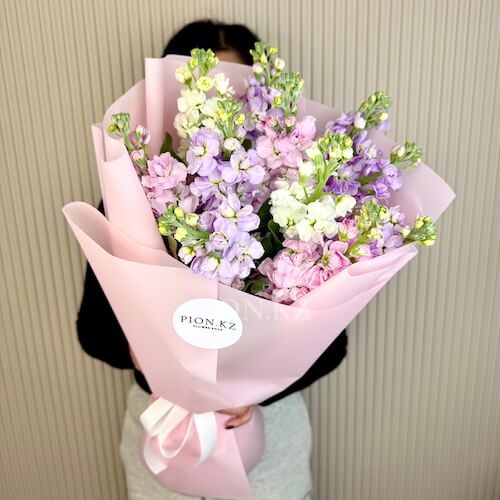 Bouquet of multi-colored matthiolas