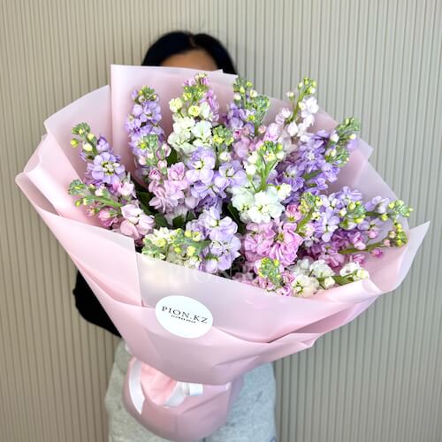 Bouquet of multi-colored matthiolas - Стандартный