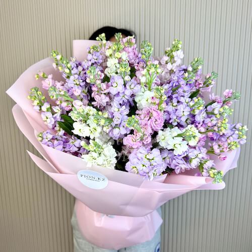 Bouquet of multi-colored matthiolas - Делюкс