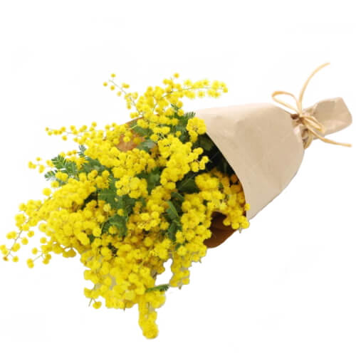 Букет из мимозы