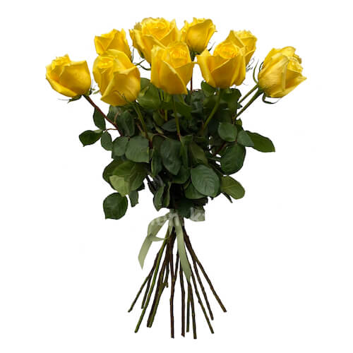 Букет из желтых роз "Мохана" 90см - 21 роза