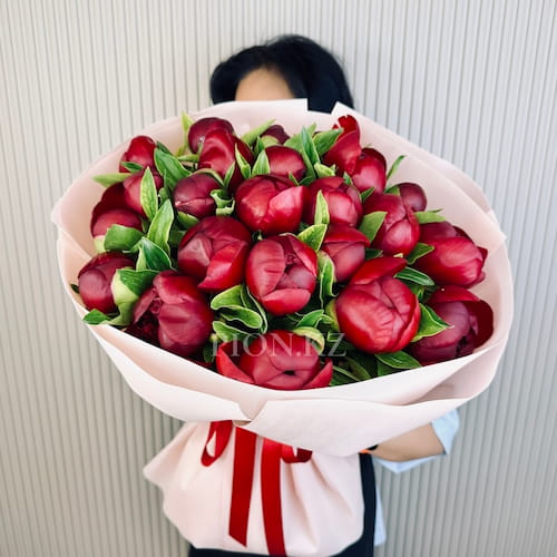 Букет из бордовых пионов "Red charm" - 21 пионов