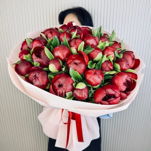 Охапка бордовых пионов "Red charm"