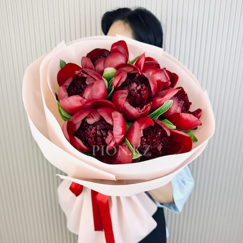 Букет из бордовых пионов "Red charm" - 7 пионов