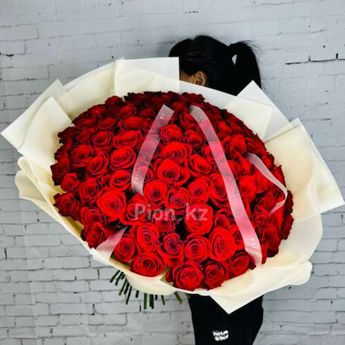 Охапка красных голландских роз 60см - 101 роза