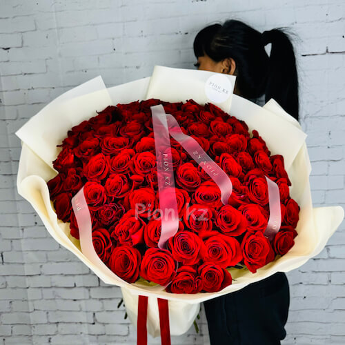 Букет из красных голландских роз 60см - 75 роз
