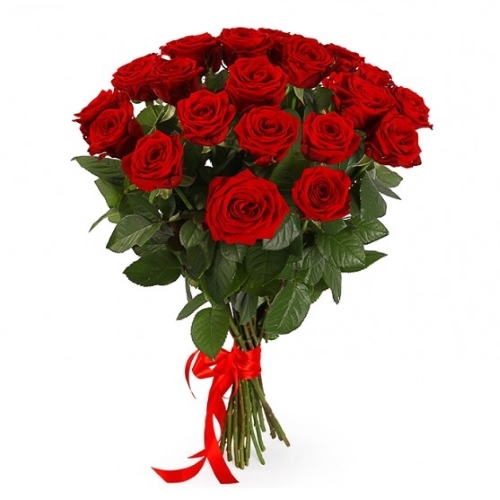 Букет из красных роз 100см - 17 роз