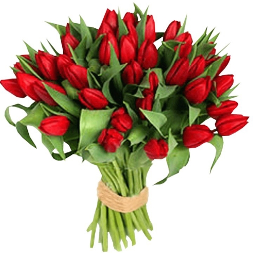 Красные тюльпаны - 25 тюльпанов
