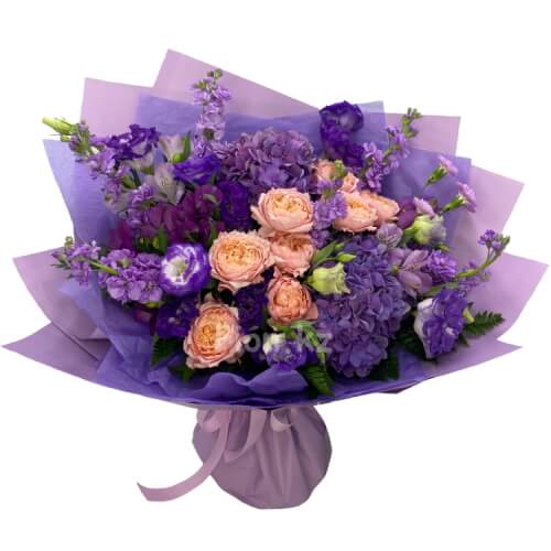 Желание Софи