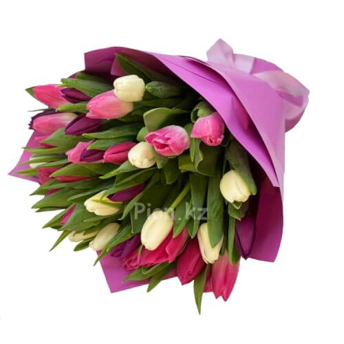 Разноцветные тюльпаны (35 шт.) - 35 тюльпанов