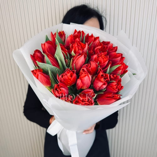 Красные пионовидные тюльпаны - 21 тюльпан