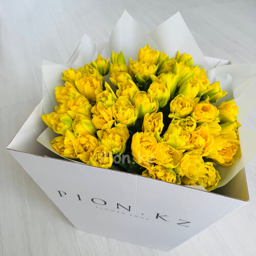 Box of peony yellow tulips - 51 тюльпан