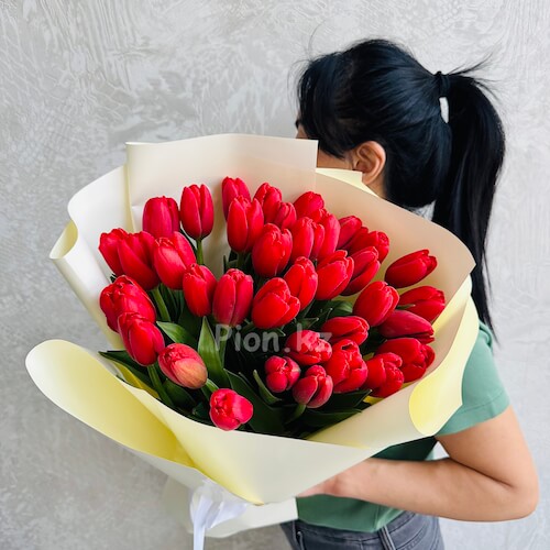 Bouquet of red tulips - 35 тюльпанов