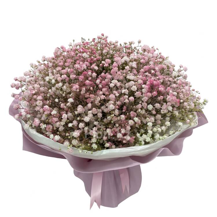 Gypsophila bouquets – Buy bouquets of gypsophila in Almaty Gypsophila bouquets – Buy bouquets of gypsophila in Almaty